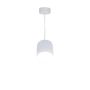 Maytoni Polar P088PL-GX53-W Lampă cu pendul 1x15W/GX53 IP20
