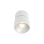 Nordlux PITCHER 2310400101 Spot 1x10W/GU10 IP20