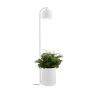 Kaspa BOTANICA XL 40848101 Lampă de podea 1x9W/GU10 IP20