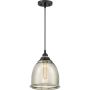Quoizel PICCOLO QZS-QPP2818K Lampă cu pendul 1x60W/E27