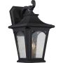 Quoizel BEDFORD QZ-BEDFORD2-M Aplique de perete 1x60W/E27 IP44
