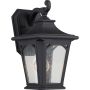 Quoizel BEDFORD QZ-BEDFORD2-S Aplique de perete 1x60W/E27 IP44
