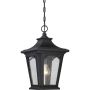 Quoizel BEDFORD QZ-BEDFORD8-S Lampă cu pendul 1x60W/E27 IP44