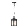 Quoizel Cedar Point QZ-CEDAR-POINT8-M-BK Lampă cu pendul 1x60W/E27 IP44
