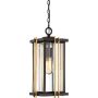 Quoizel GOLDENROD QZ-GOLDENROD8-M Lampă cu pendul 1x60W/E27 IP23