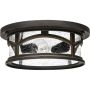 Quoizel MARBLEHEAD QZ-MARBLEHEAD-F Lustră de tavan 2x60W/E27 IP44