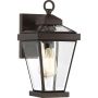 Quoizel RAVINE QZ-RAVINE2-S Aplique de perete 1x60W/E27 IP44