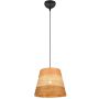 Trio JOELINE R31731926 Lampă cu pendul 1x10w/e27 ip20
