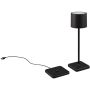 Trio FERNANDEZ R54096132 Lampă de masă 1x1w/led 2700+4000+6000K 130lm ip54