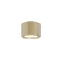 Maytoni Hydra C090CL-10W3K-MG Lumină montată pe suprafață 1x10W/LED 3000K 650lm IP44