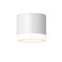 Maytoni Pauline C087CL-GX53-W Lumină montată pe suprafață 1x15W/GX53 IP44