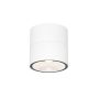Maytoni Spin O310CL-L5W3K Lumină montată pe suprafață 1x5W/LED 3000K 480lm IP54