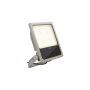 SLV FLOODLIGHT 1008909 Halogen 1x100W/LED 3000K 16300lm|23850lm|30800lm