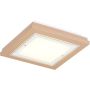 Argon TABOR 1866 Lampă de tavan 4x15W/E27 ip20