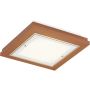 Argon TABOR 1867 Lampă de tavan 4x15W/E27 ip20