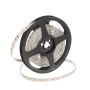 SMD LED HOMEline TAS4625SLL Bandă LED 120x9,7W/m/LED 3000K 880 lm/m IP20
