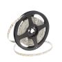 SMD LED HOMEline TAS4793SLL Bandă LED 120x9,7W/m/LED 4000K 880 lm/m IP20