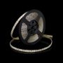 SMD LED PROline TAS4274SLL Bandă LED 120x12W/m/LED 4000K 1440 lm/m IP66