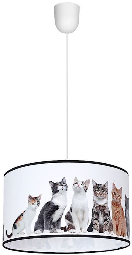 Milagro-CATS-MLP4281-MILMLP4281
