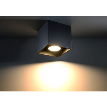 Sollux QUAD SL.0022 Lumină montată pe suprafață 1x40W/GU10