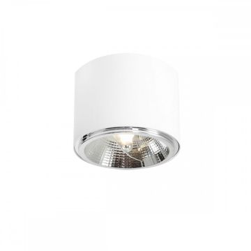 Aldex BOT 1046PL_G Lumină montată pe suprafață 1x35W/GU10/ES111