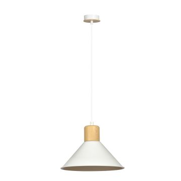 Emibig ROWEN 1045/1 Lampă cu pendul 1x15W/E27 IP20