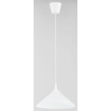 Alfa CHIŃCZYK 11850 Lampă cu pendul 1x60W/E27 IP20