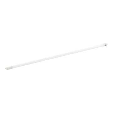 Eglo LEDG13 110338 świetlówka 1x23W/G13  3000K IP20