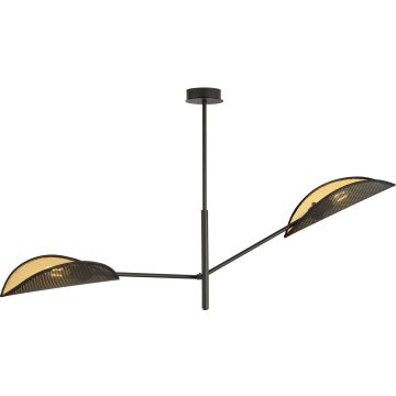 Emibig VENE 1158/2 Lampă de tavan 2x40W/E14 IP20