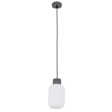 Nowodvorski AURORA 11969 Lampă cu pendul 1x25W/E27 IP20