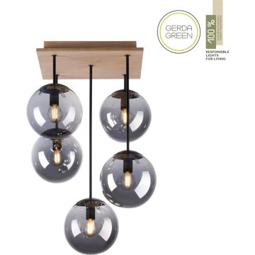 Paul Neuhaus GREEN WIDOW 11395-79 Lampă de tavan 5x25W/E14 ip20