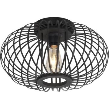 Paul Neuhaus RACOON 11410-18 Lampă de tavan 5x40W/E27 ip20