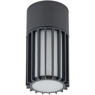 TK Lighting RIBO 11508 Lumină montată pe suprafață 1x15W/E27 IP54