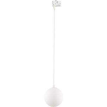 TK Lighting TRACER 3f 11661 Proiector de șină 1x8W/G9 IP20