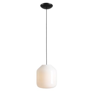 Aldex FLASK ORCHID L 8500G1_L Lampă cu pendul 1x15W/E27