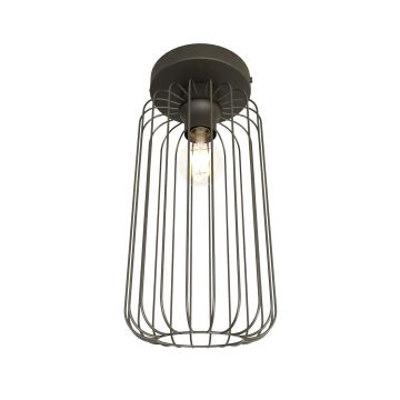 Emibig BARN 1367/1 Lampă de tavan 1x15W/E27 IP20