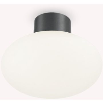 Ideal Lux CLIO 148861 Lampă de tavan 1x42W/E27 ip44