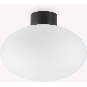 Ideal Lux CLIO 148878 Lampă de tavan 1x42W/E27 ip44