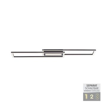 Paul Neuhaus ASMIN 14696-18 Lustră de tavan 1x45W/LED 3000K 2900LM IP20