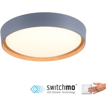 Paul Neuhaus EMILIA 14347-15 Lampă de tavan 1x32W/LED 3000k 3400lm ip20