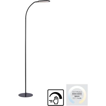 Paul Neuhaus KELLY 14406-18 Lampă de podea 1x10W/LED 3000-6000k 1180lm ip20