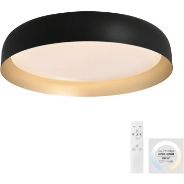 Paul Neuhaus OSKO 14216-18 Lampă de tavan 1x40W/LED 2700-5000k 3850lm ip20