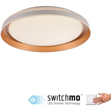 Paul Neuhaus SATI 14368-60 Lampă de tavan 1x23,5W/LED 3000k 2630lm ip20