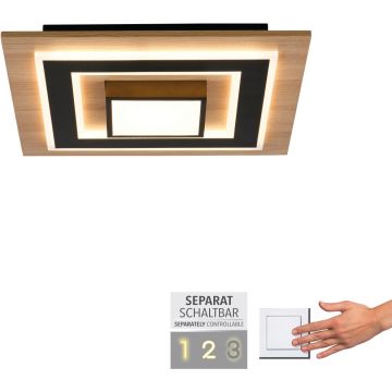 Paul Neuhaus TOLA 14563-18 Lampă de tavan 1x30W/LED 3000k 3200lm ip20