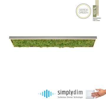 Paul Neuhaus GREEN KNUT 15623-66 Lampă de tavan 1x25W/LED 3000k 2050lm ip20