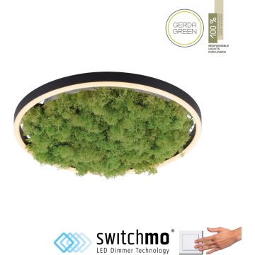 Paul Neuhaus GREEN RITUS 15391-66 Lampă de tavan 1x20W/LED 3000k 630lm ip20