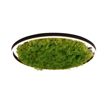 Paul Neuhaus GREEN RITUS 15392-66 Lampă de tavan 1x28W/LED 3000k 960lm ip20