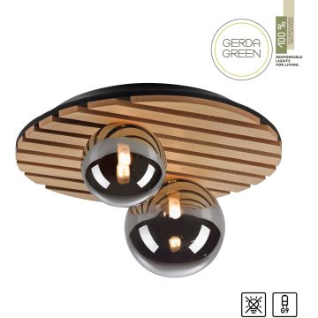 Paul Neuhaus GREEN STIKA 15208-79 Lampă de tavan 2x5W/G9 ip20