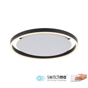 Paul Neuhaus RITUS 15391-13 Lustră de tavan 1x20W/LED 3000K 800LM IP20
