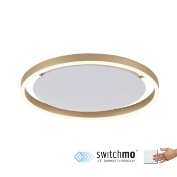Paul Neuhaus RITUS 15391-60 Lustră de tavan 1x20W/LED 3000K 1060LM IP20